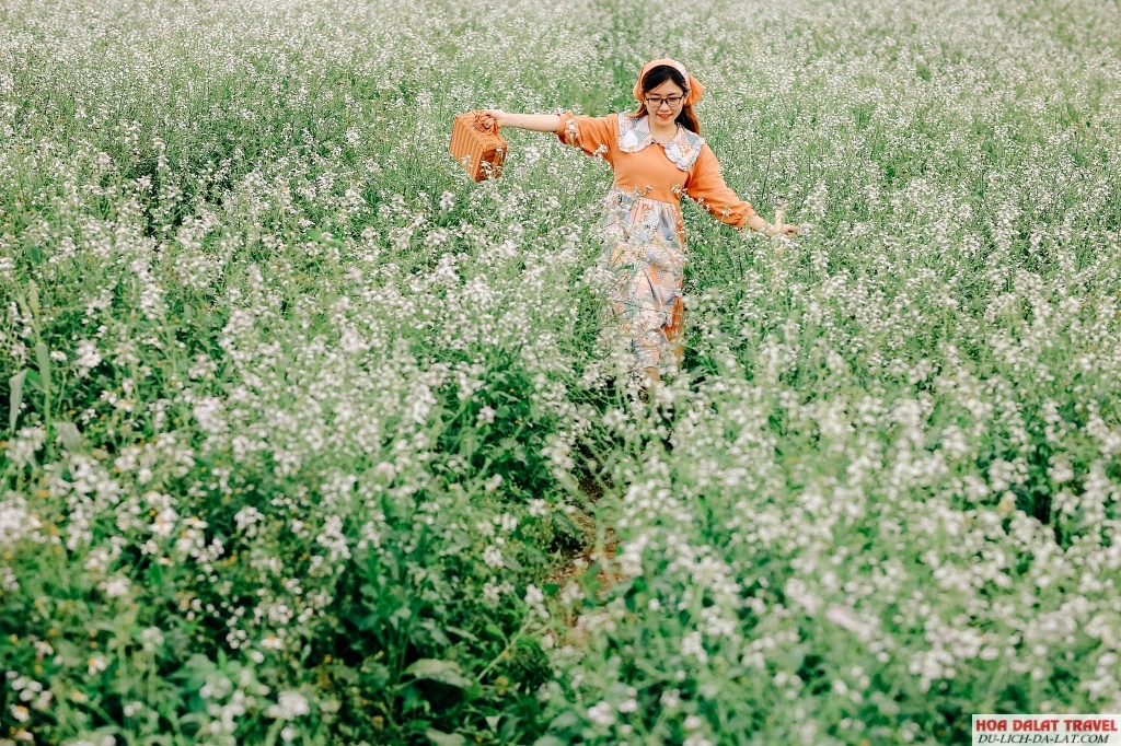 Đà Lạt tháng 12