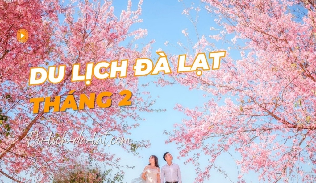 Du lịch Đà Lạt tháng 2