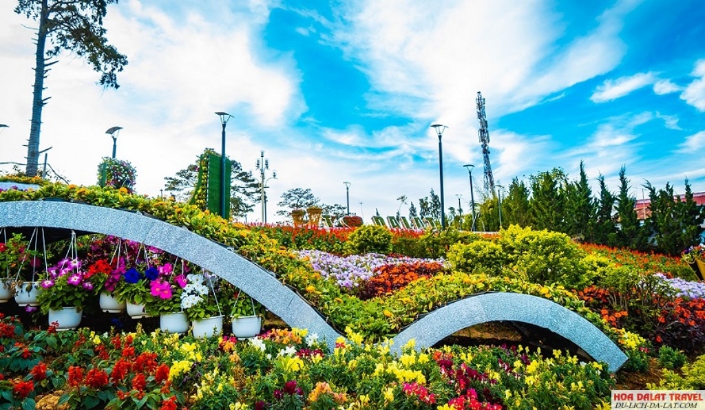 Festival Hoa ở Đà Lạt