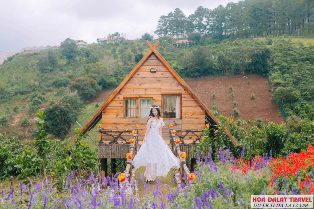 Khu vườn hoa đầy màu sắc
