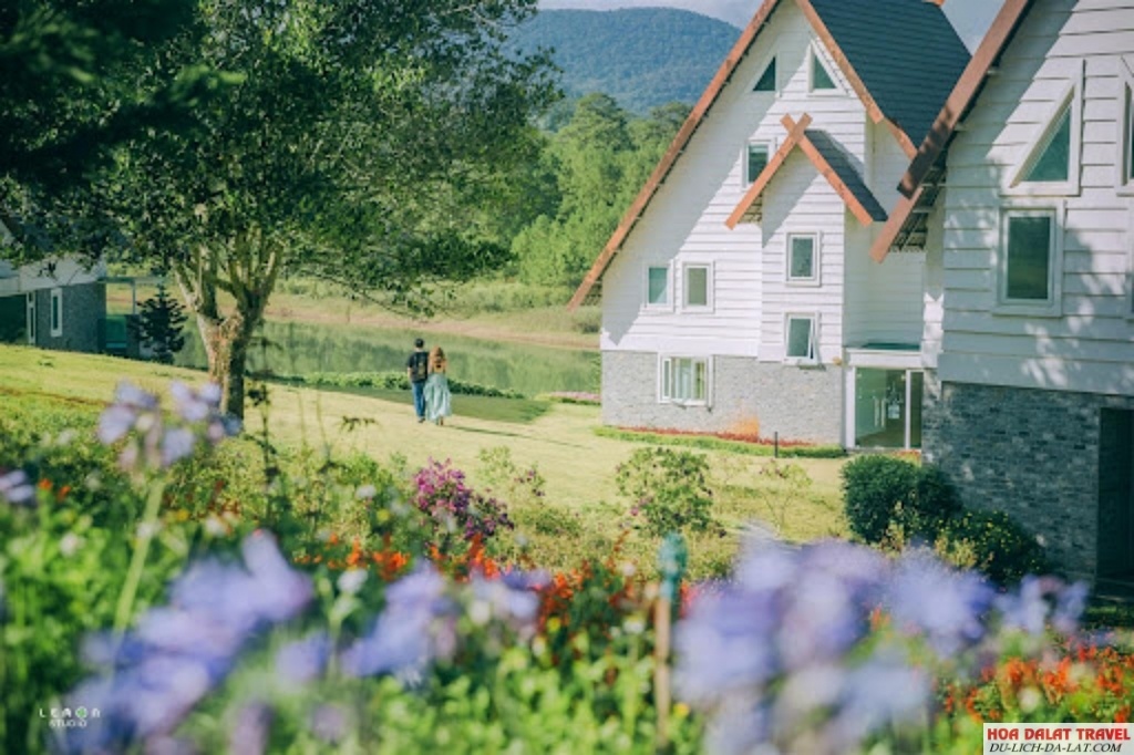Review Dalat Wonder Resort