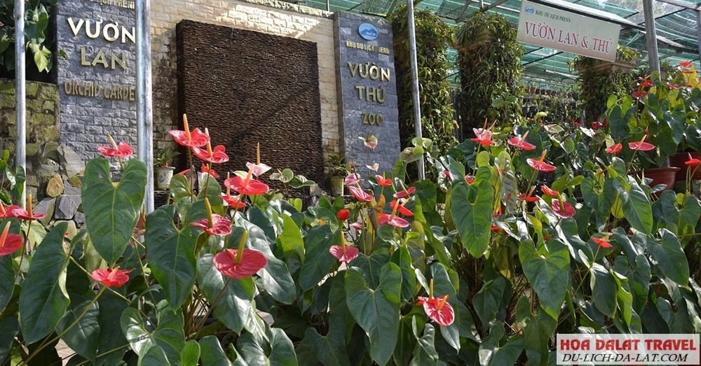 Tham quan vườn trồng hoa lan