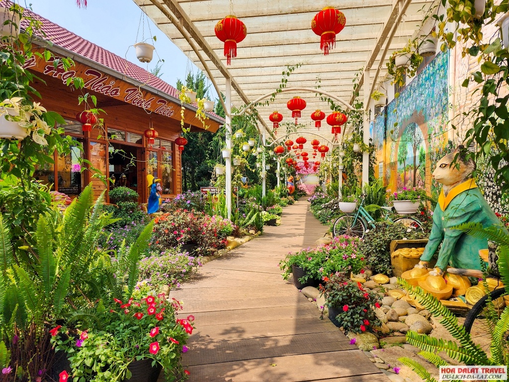 Vườn hoa đầy sắc màu