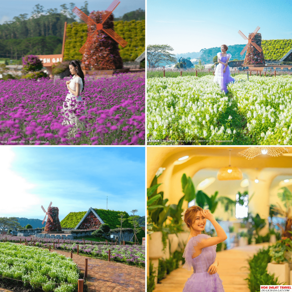Check in Fresh Garden
