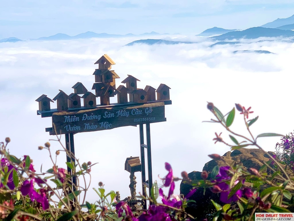 hành trình săn mây ở Đà Lạt