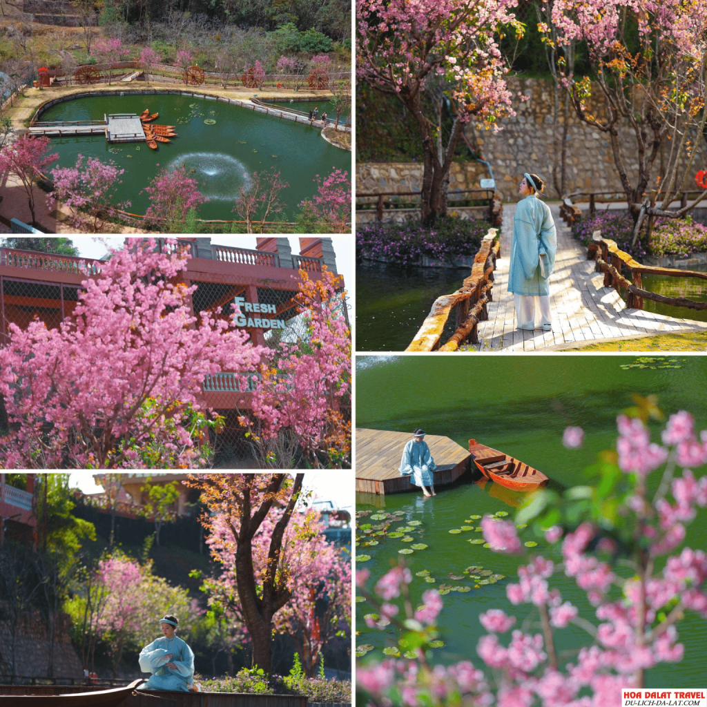 KDL Fresh Garden
