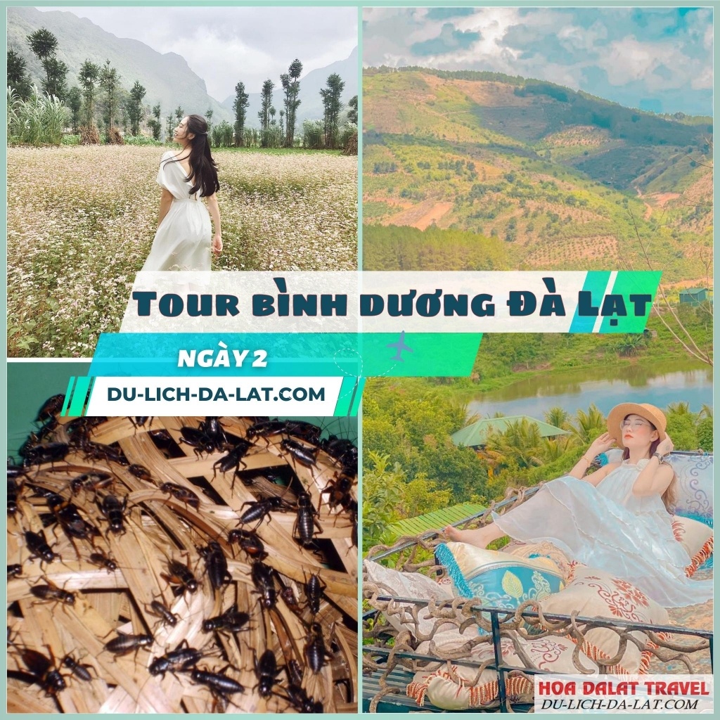 Các địa điểm check in cực hot cho các bạn trẻ khi đi tour Bình Dương Đà Lạt