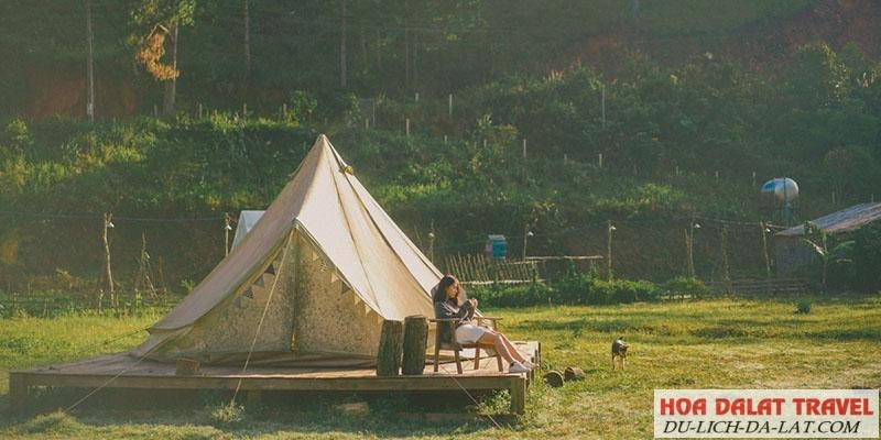 Cắm trại ở Đà Lạt sang chảnh