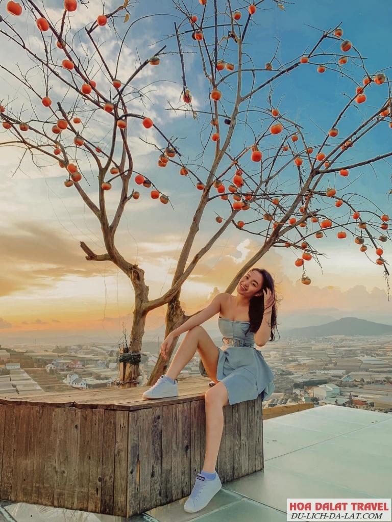 Chill cùng Làng Vũ Thị