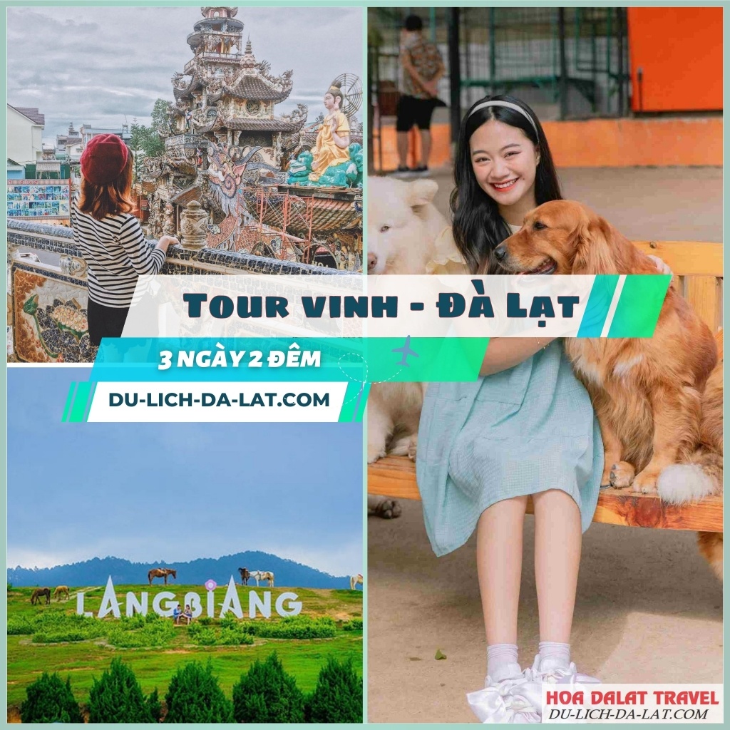 Chương trình tour Vinh Đà Lạt hấp dẫn của Hoa Dalat Travel
