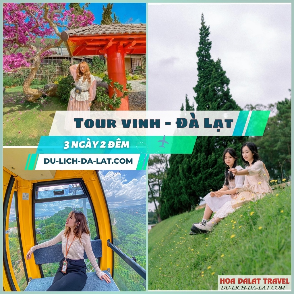 Đặt tour Vinh Đà Lạt dễ dàng, uy tín
