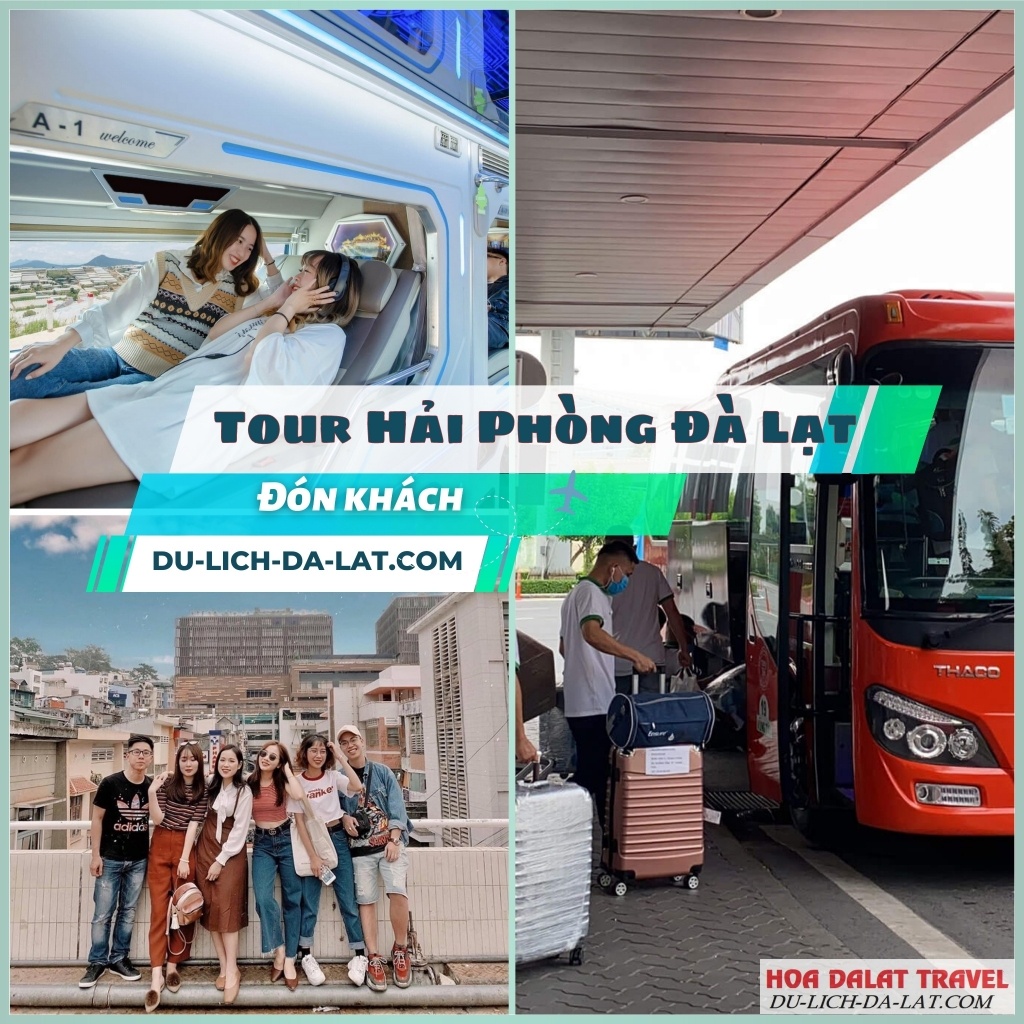 Đón khách từ Hải Phòng lên Đà Lạt