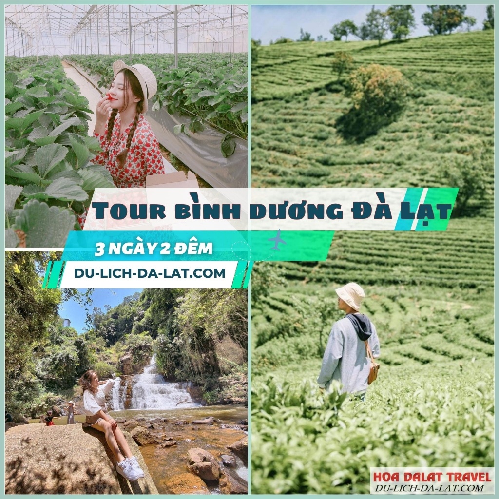 Giá tour Bình Dương - Đà Lạt có nhiều ưu đãi