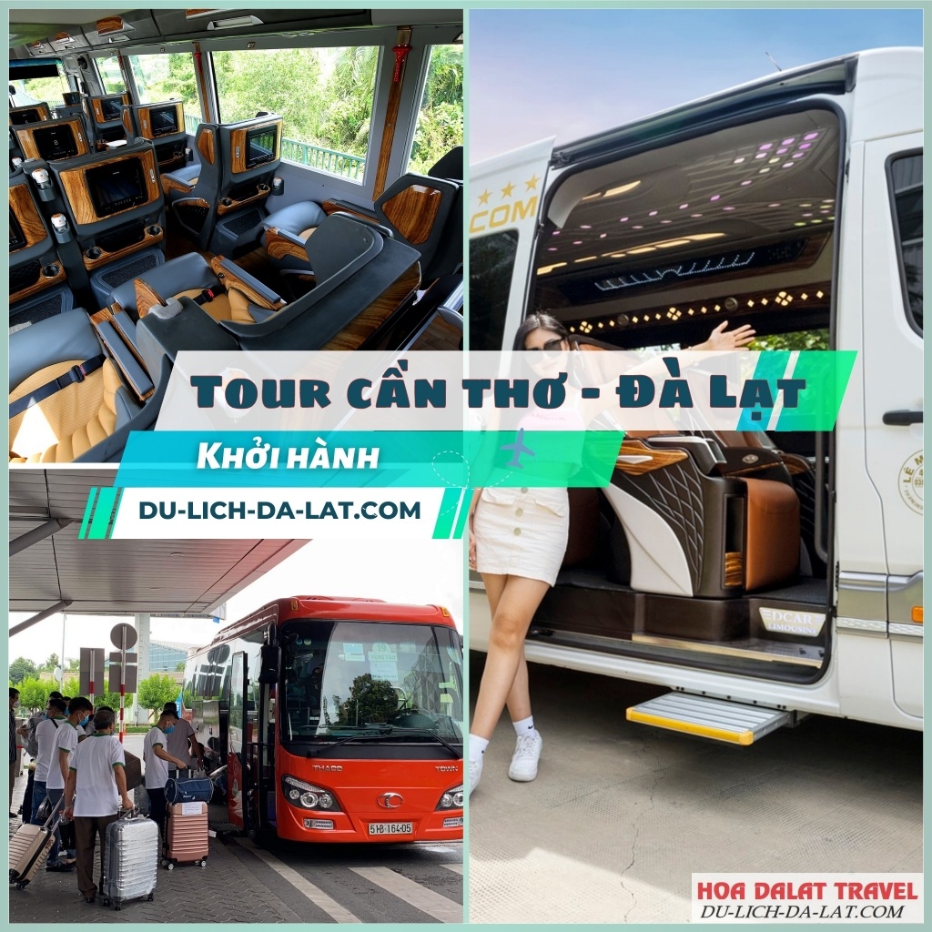 Khởi hành từ Cần Thơ đi Đà Lạt