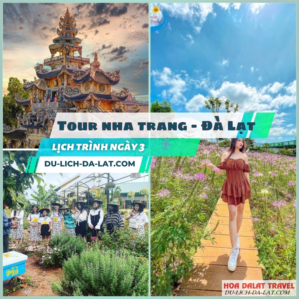 Lịch trình ngày 3 tour Nha Trang Đà Lạt 3N2Đ