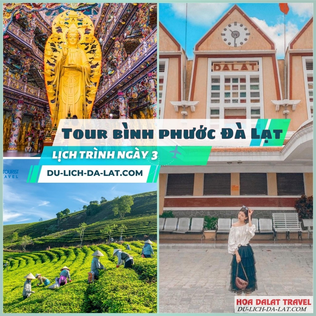 Lịch trình ngày thứ 3 tour Bình Phước Đà Lạt