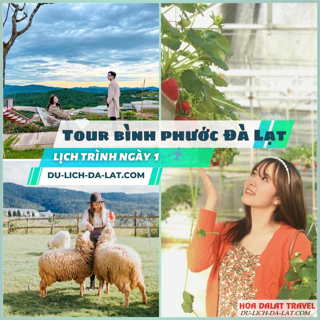 Lịch trình ngày thứ nhất tour Bình Phước Đà Lạt