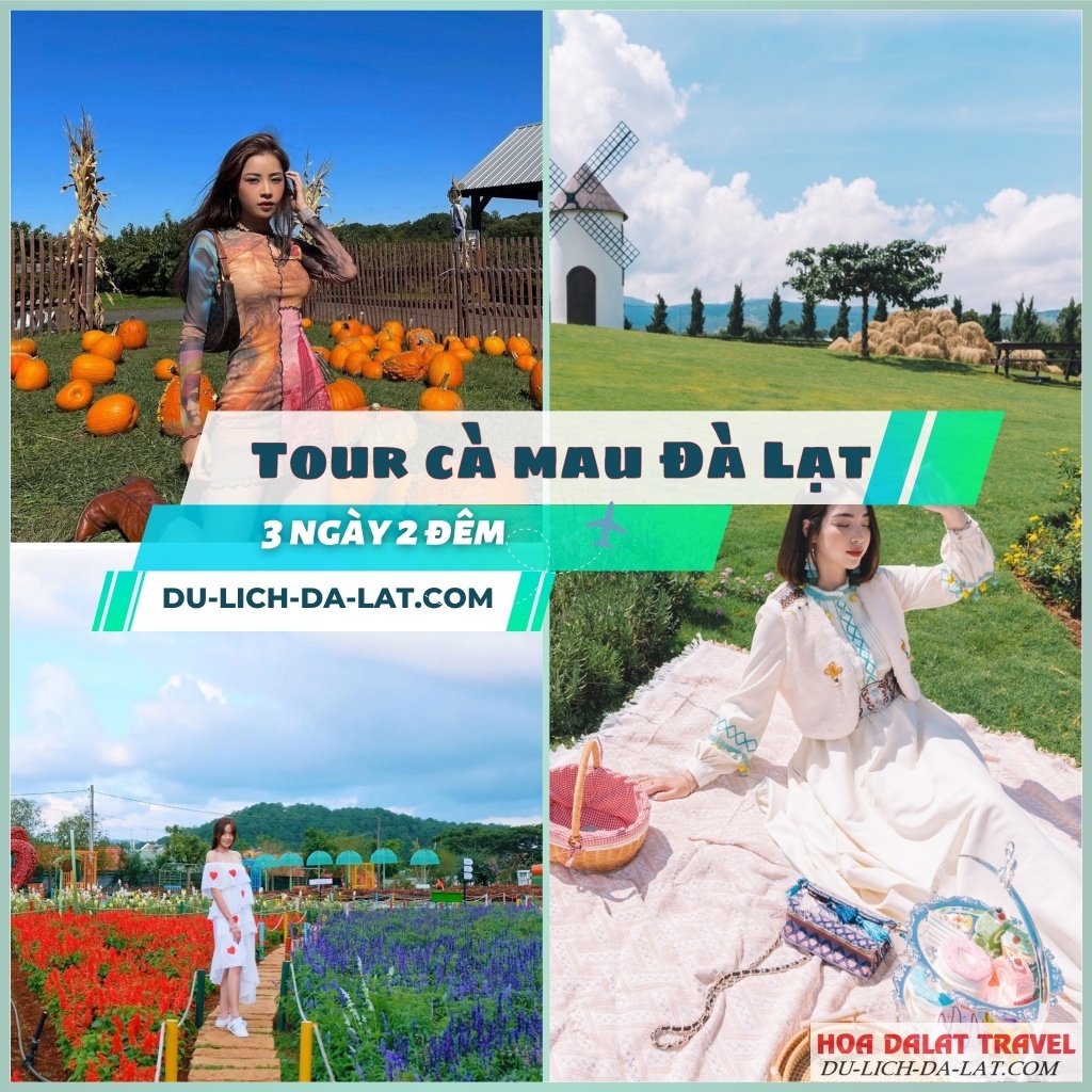 Lưu ý khi đi tour Cà Mau - Đà Lạt