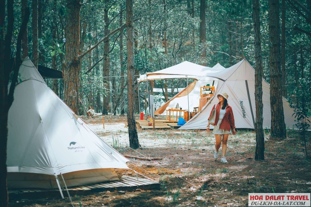 Lux Camp