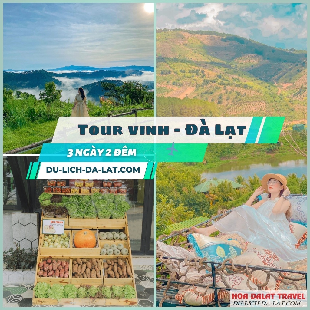 Những lưu ý khi đặt tour Vinh Đà Lạt