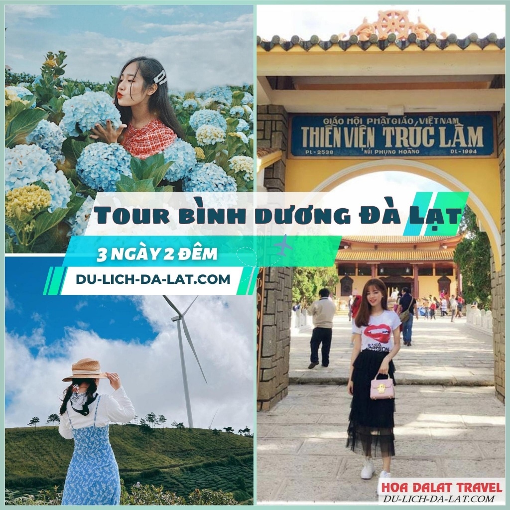 Những lưu ý khi đi tour Bình Dương - Đà Lạt