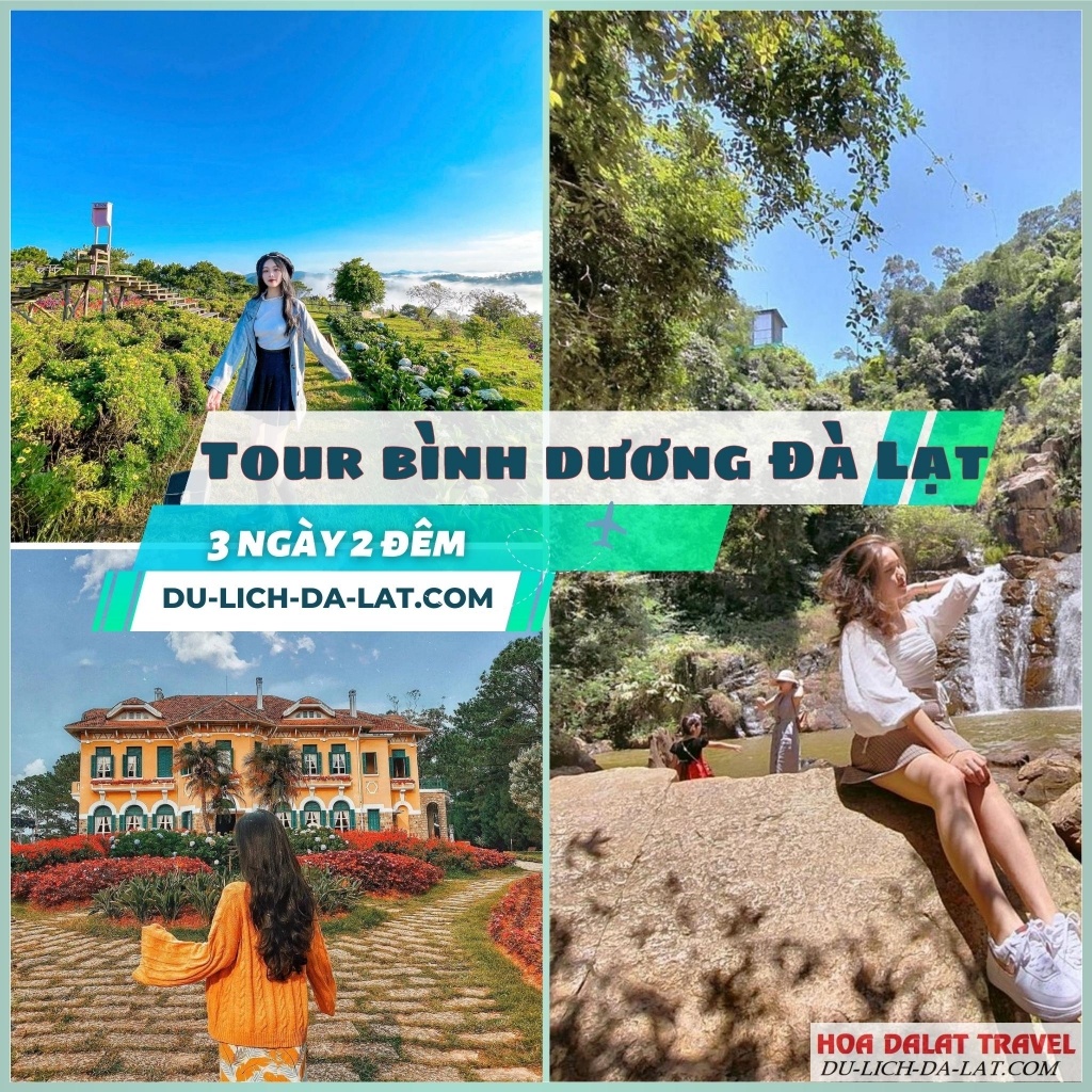 Book ngay tour du lịch Bình Dương - Đà Lạt
