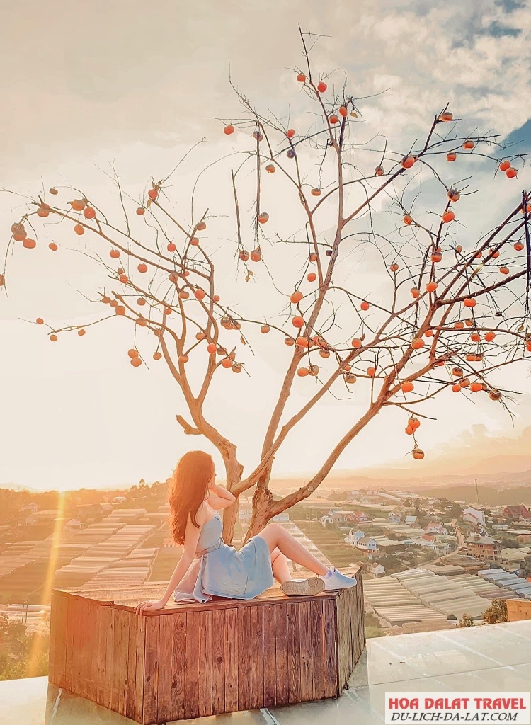 Quán cà phê Làng Vũ Thị mang đến một vẻ đẹp làm mê mẩn bao trái tim du khách