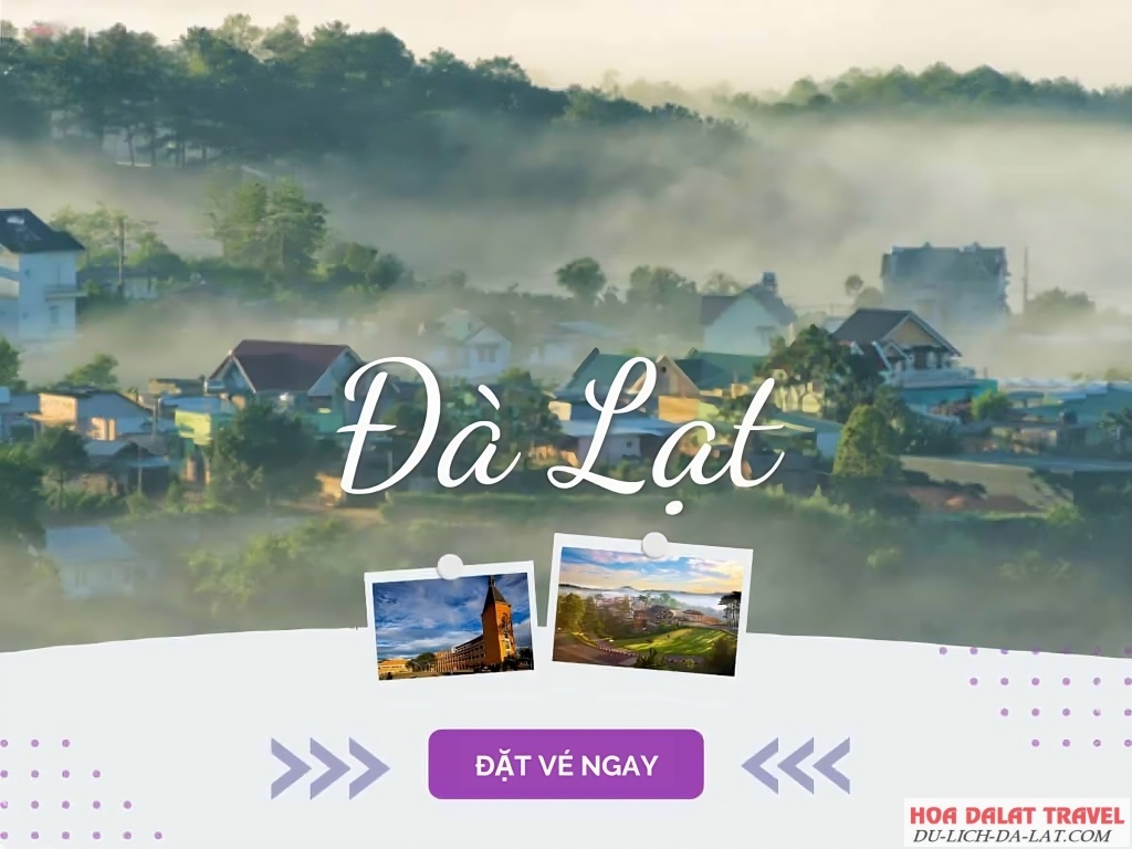 “Săn” vé máy bay giá rẻ đi Đà Lạt đơn lẻ, từng chiều một