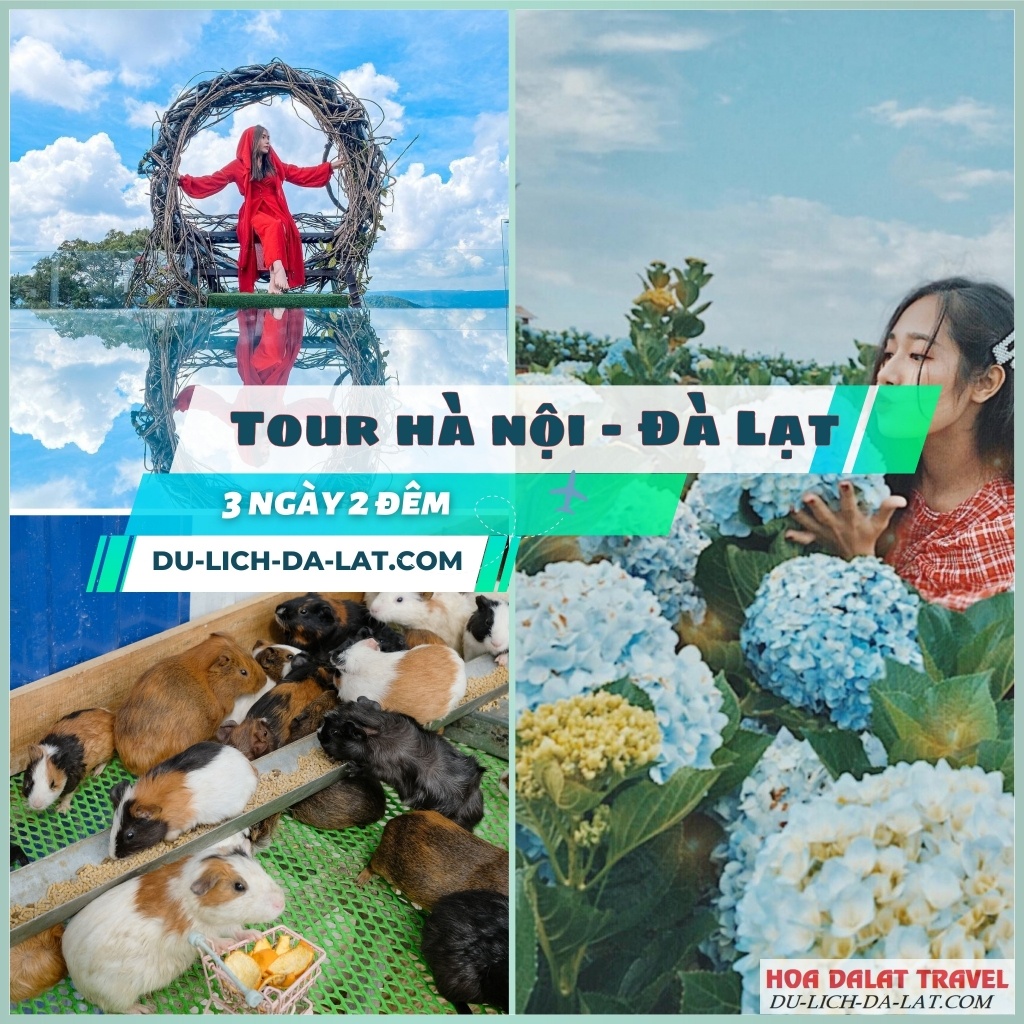 Tham gia ngay Tour Hà Nội Đà Lạt 3N2Đ hấp dẫn