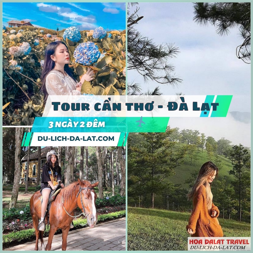 Tham gia tour Cần Thơ Đà Lạt bao trọn gói
