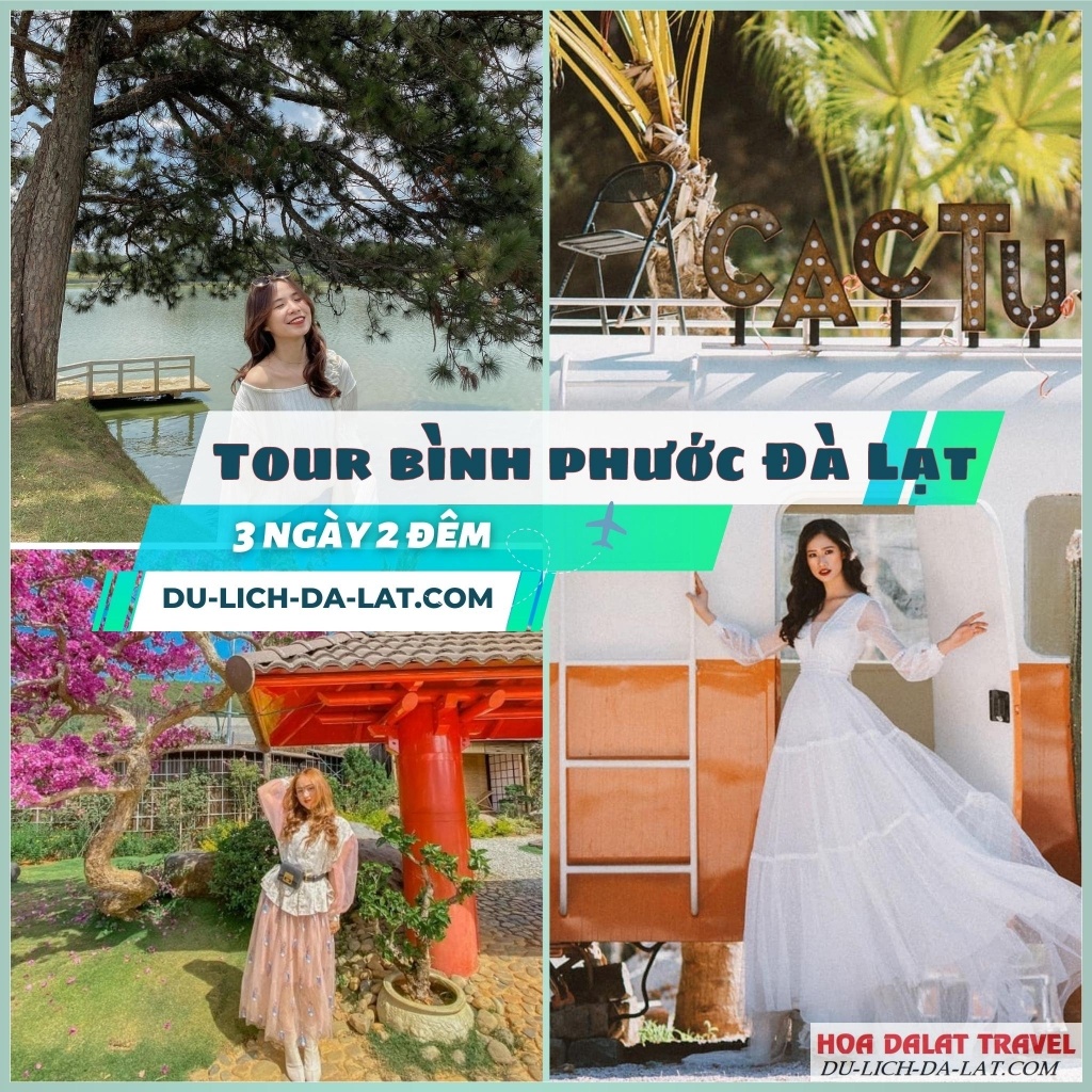 Tham gia tour Đồng Xoài Bình Phước - Đà Lạt hấp dẫn