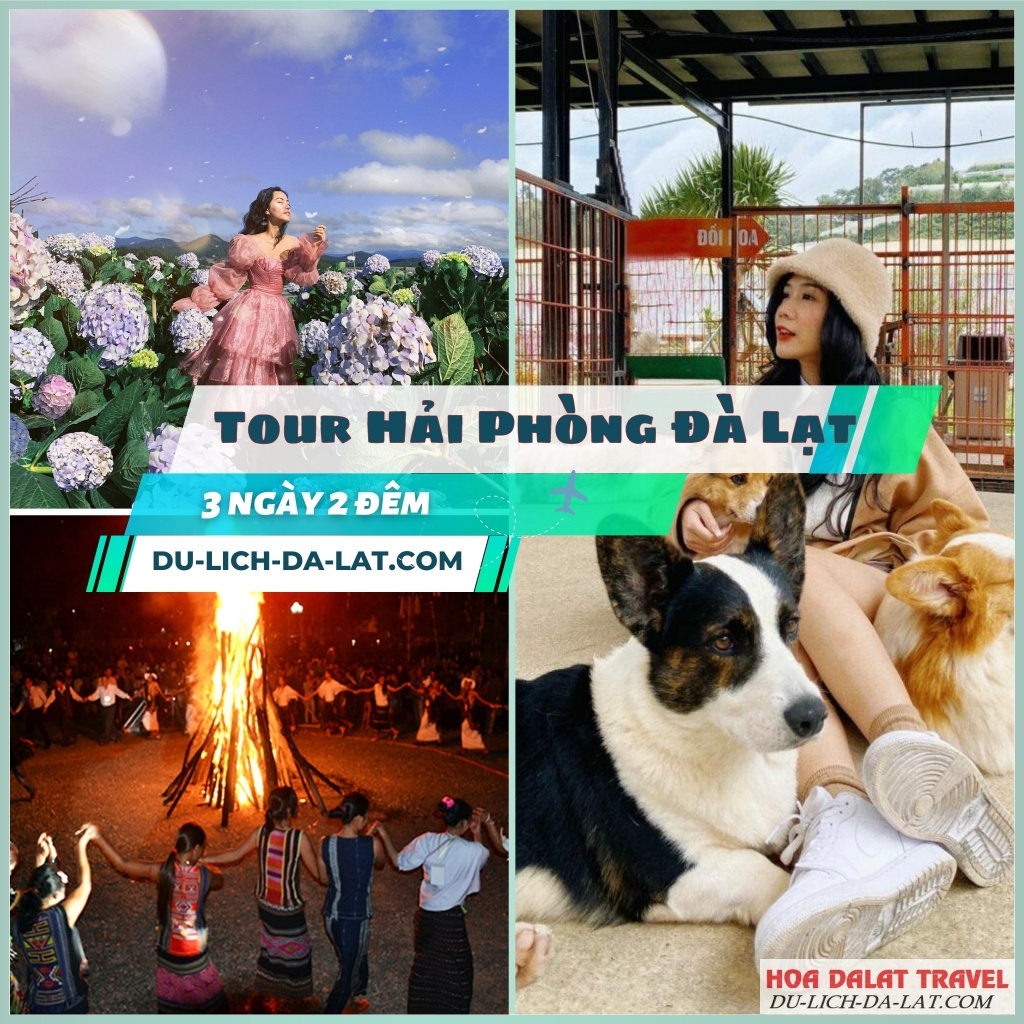 Tham gia tour Hải Phòng - Đà Lạt cực thú vị