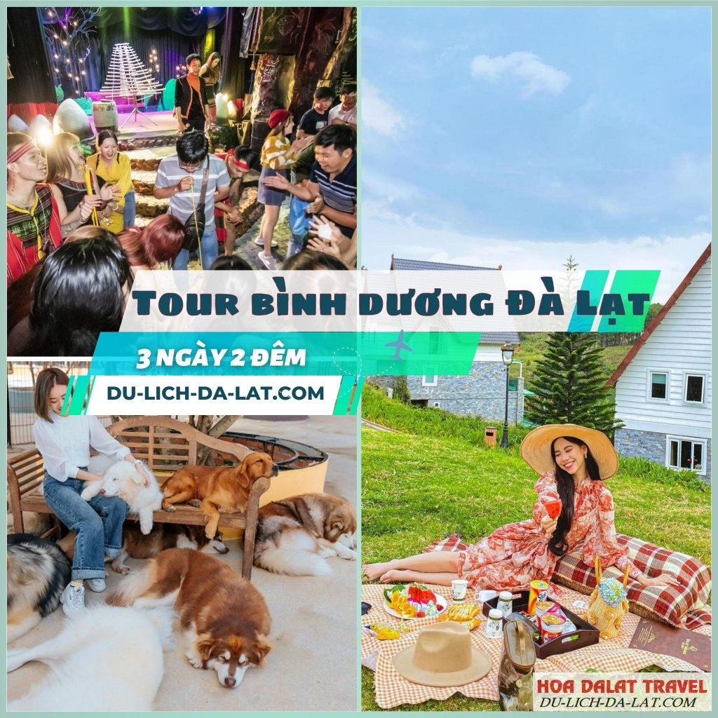 Thông tin tour Bình Dương Đà Lạt