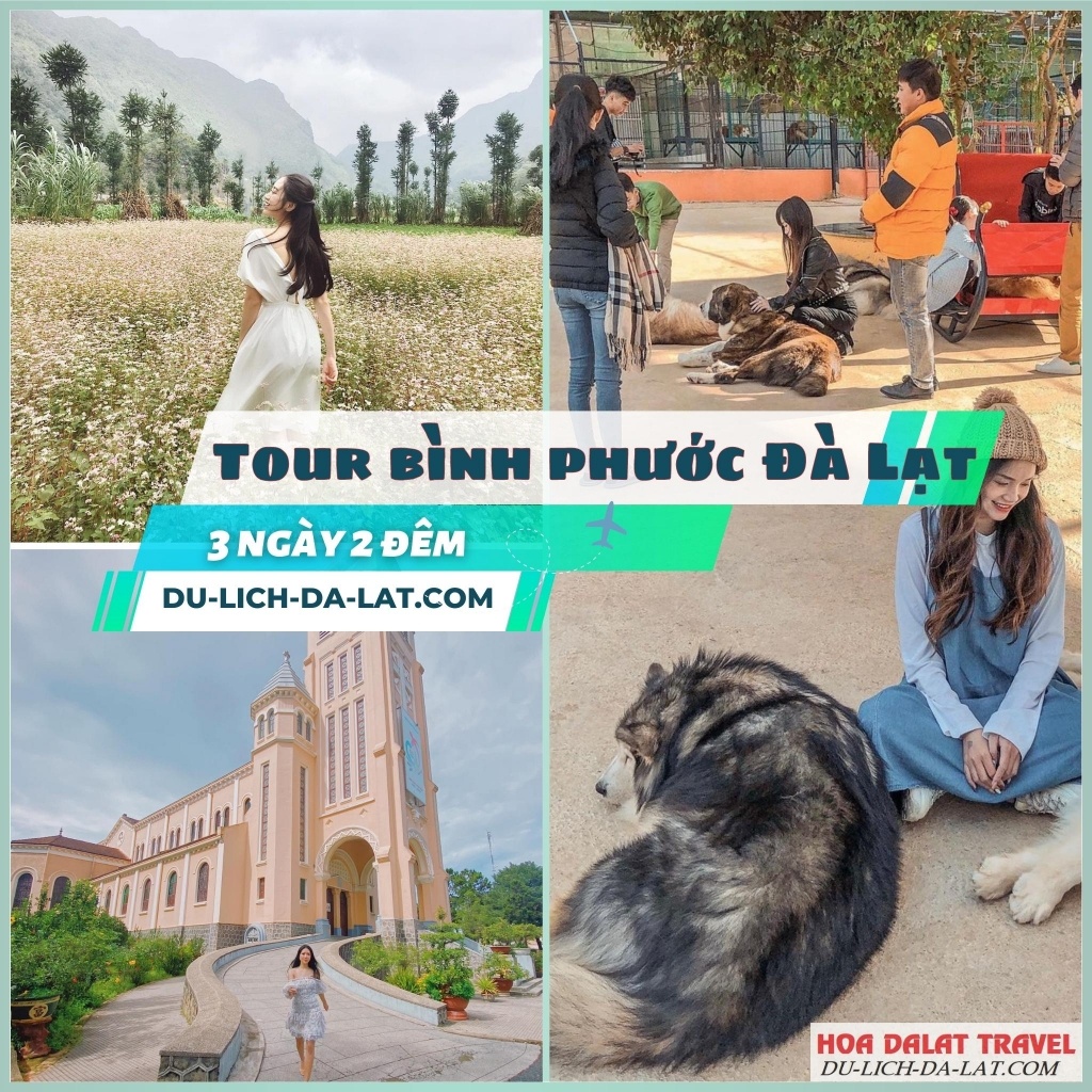 Thông tin tour Bình Phước Đà Lạt