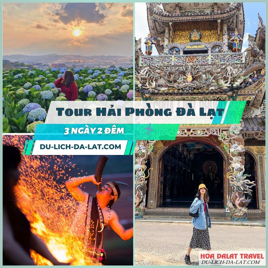 Thông tin tour Hải Phòng Đà Lạt