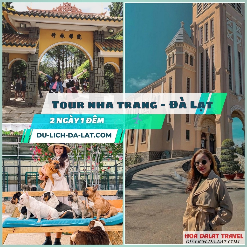 Thông tin tour Nha Trang Đà Lạt 2N1Đ