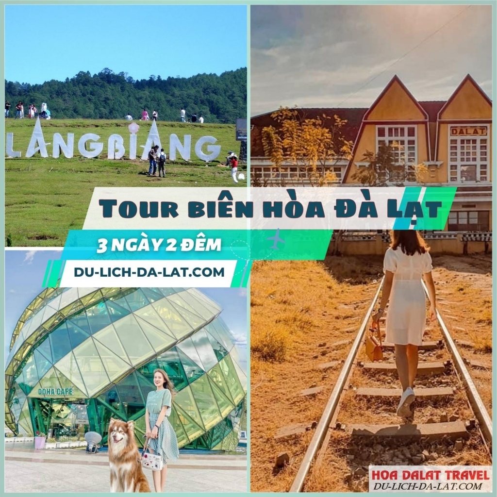 Tour Biên Hòa Đà Lạt 3 ngày 2 đêm có gì