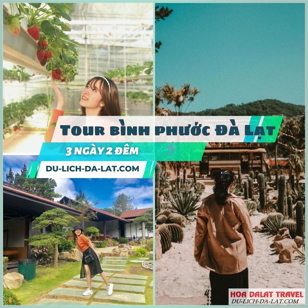 Tour Bình Phước - Đà Lạt trọn gói