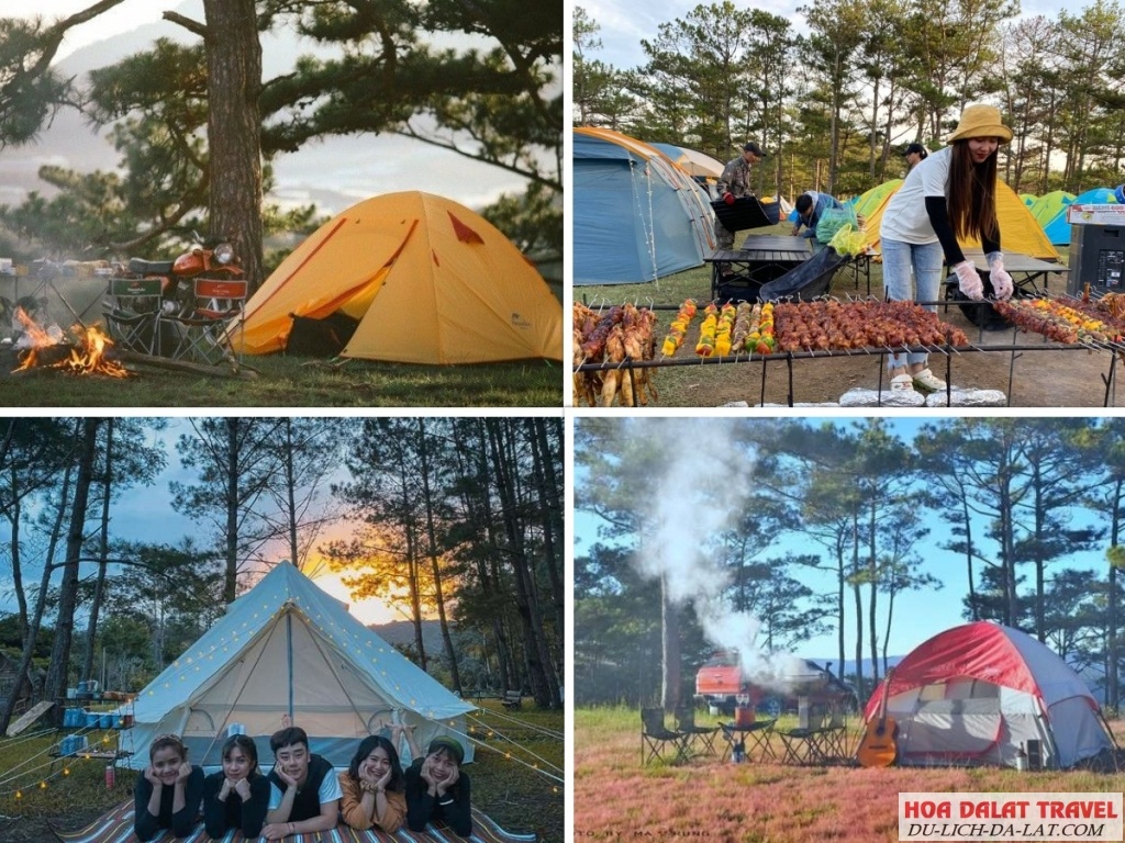 Tour Camping Đồi Cỏ Hồng