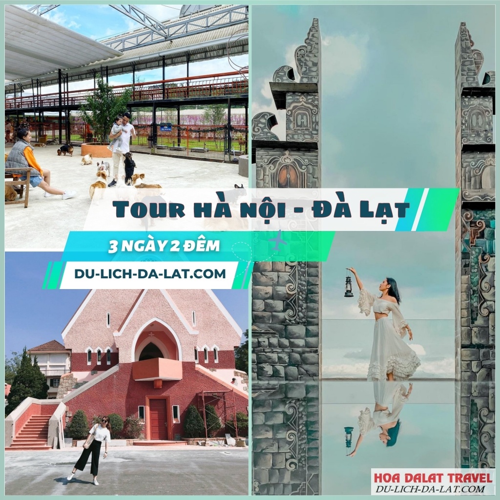 Tour Hà Nội Đà Lạt 3N2Đ giá rẻ