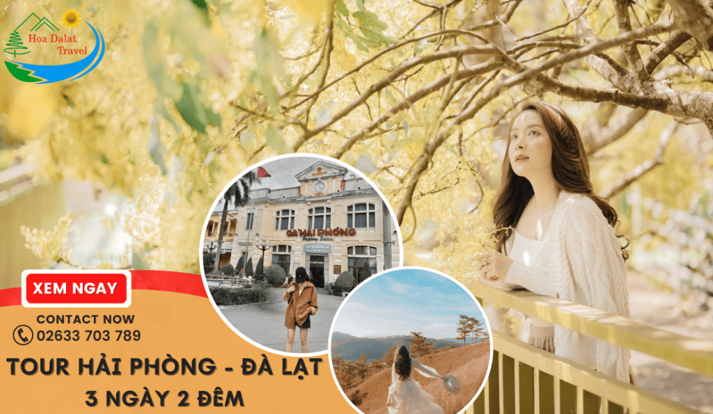 Tour Hải Phòng Đà Lạt 3 ngày 2 đêm