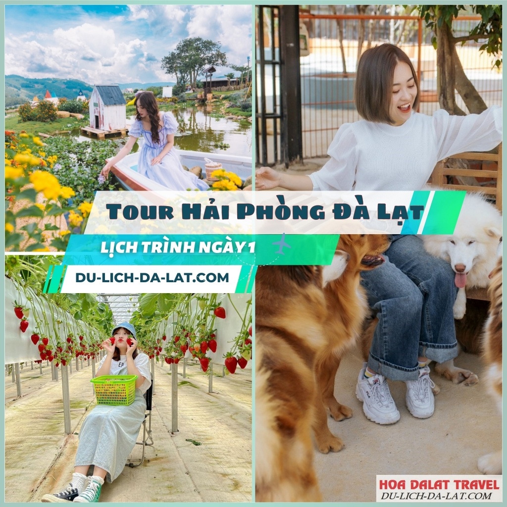 Tour Hải Phòng Đà Lạt lịch trình ngày 1