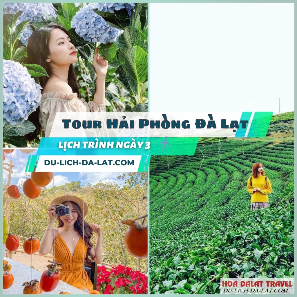 Tour Hải Phòng Đà Lạt lịch trình ngày 3