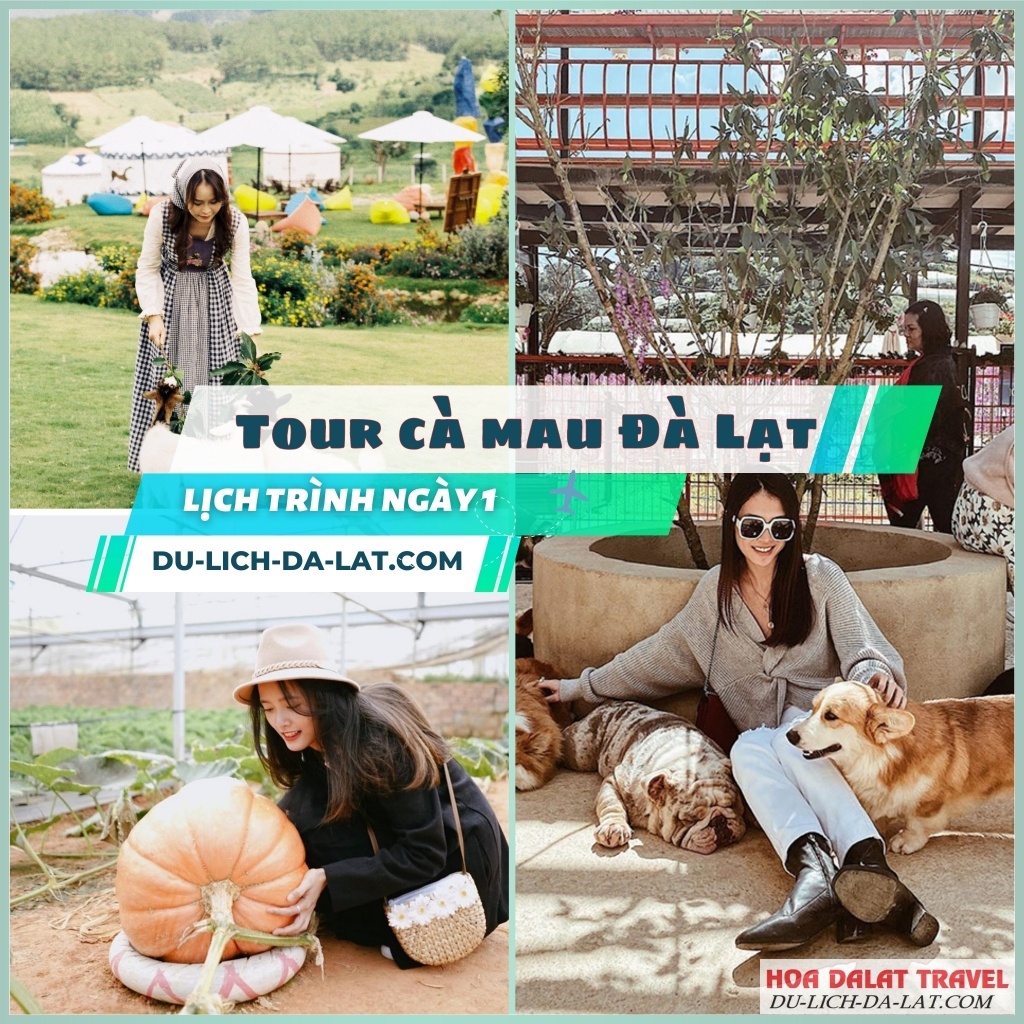 Tour Cà Mau Đà Lạt lịch trình ngày 1