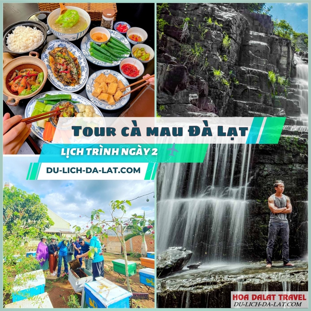 Tour Cà Mau Đà Lạt lịch trình ngày 2