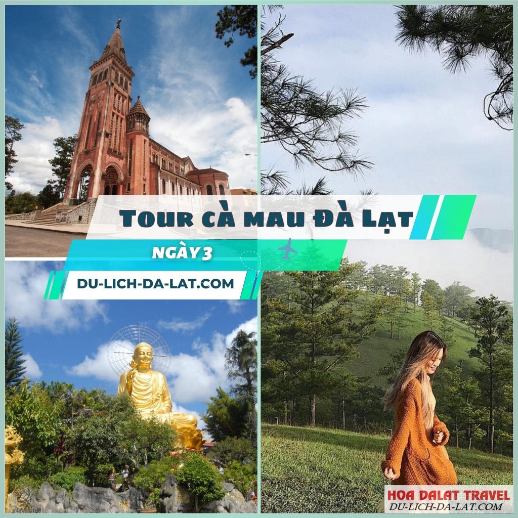 Tour Cà Mau Đà Lạt ngày 3
