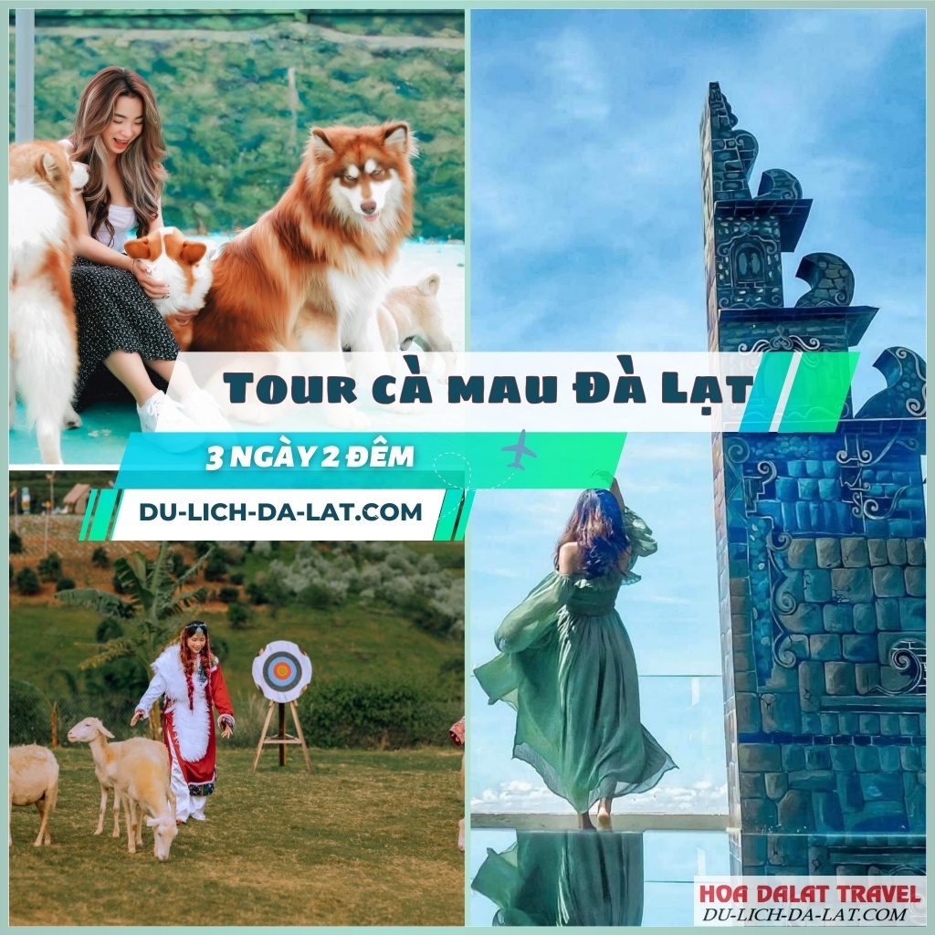 Tour du lịch Cà Mau – Đà Lạt hấp dẫn