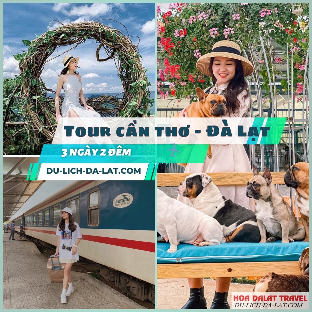 Tour du lịch Cần Thơ Đà Lạt khám phá địa điểm HOT