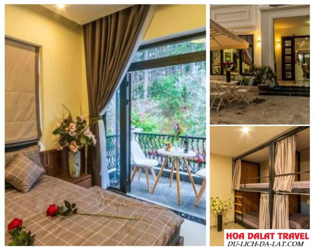 Căn biệt thự được sắp xếp theo phong cách hiện đại