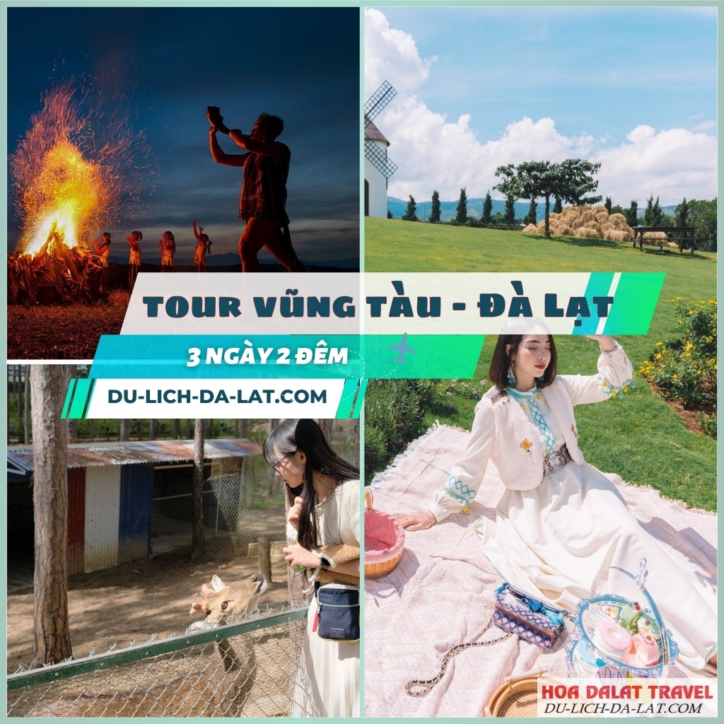 Chương trình tour Vũng Tàu Đà Lạt hấp dẫn